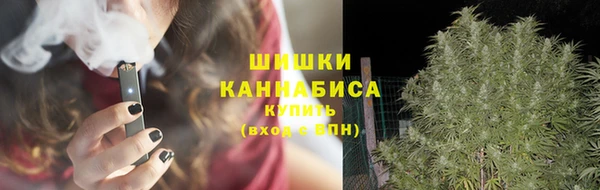 винт Гусь-Хрустальный