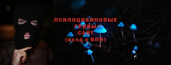 винт Гусь-Хрустальный