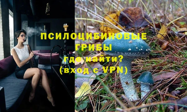а пвп мука Гусев