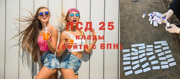 винт Гусь-Хрустальный